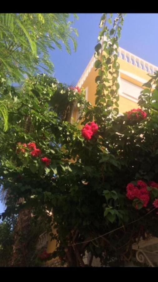 Ferienhaus Fredov Benalmádena